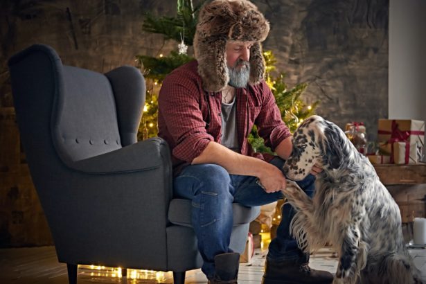 Purebred irish setter canine animal and its elderly owner in apartment