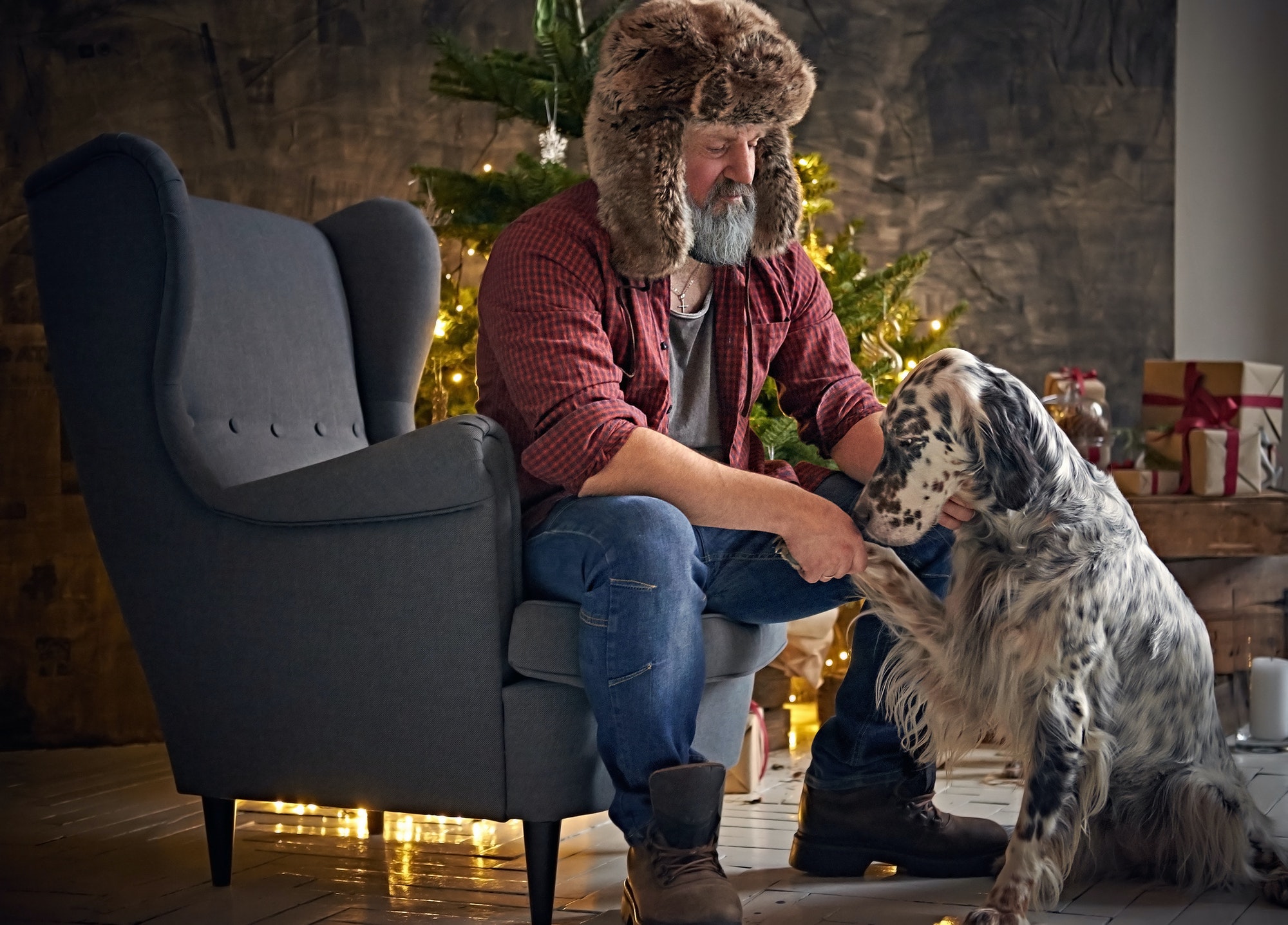Purebred irish setter canine animal and its elderly owner in apartment